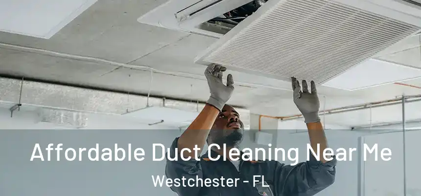 Affordable Duct Cleaning Near Me Westchester - FL