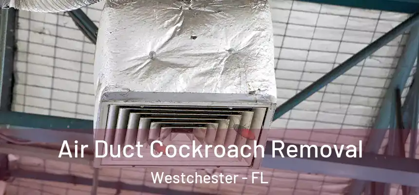 Air Duct Cockroach Removal Westchester - FL