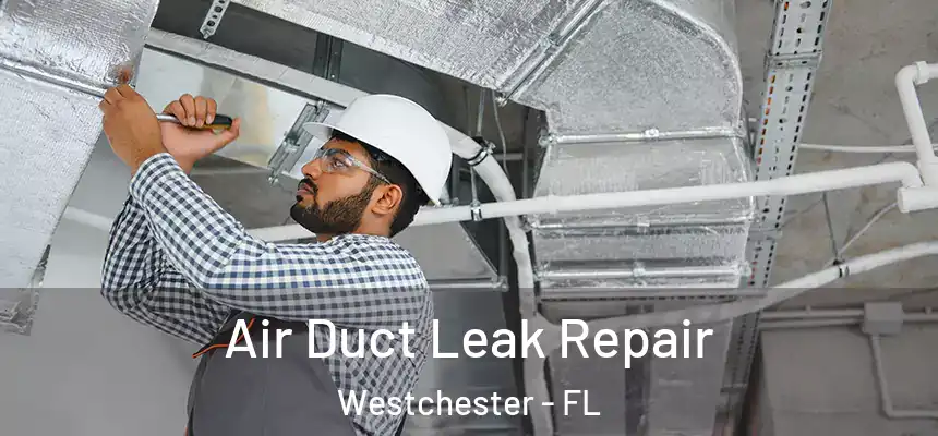 Air Duct Leak Repair Westchester - FL