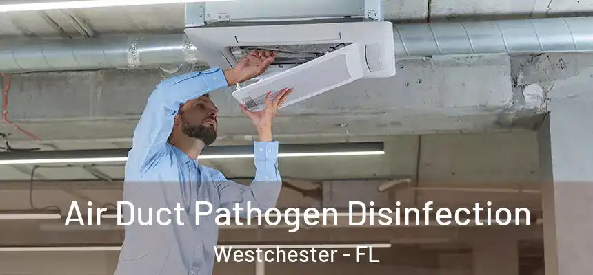Air Duct Pathogen Disinfection Westchester - FL