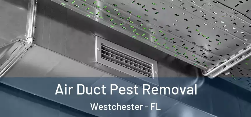 Air Duct Pest Removal Westchester - FL