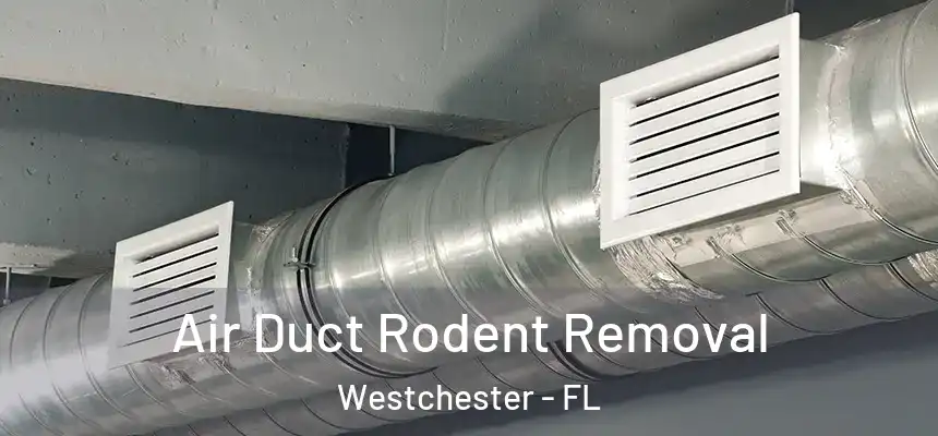 Air Duct Rodent Removal Westchester - FL