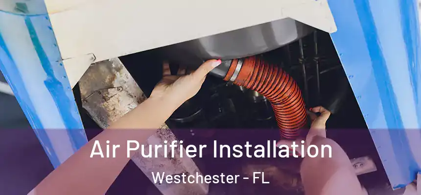 Air Purifier Installation Westchester - FL