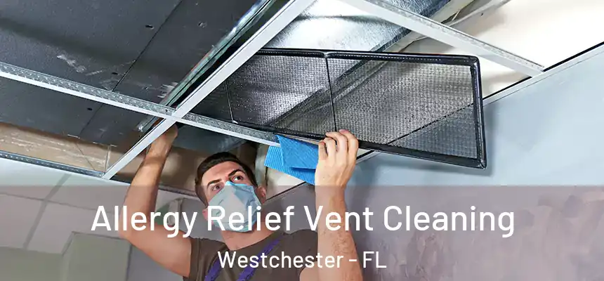 Allergy Relief Vent Cleaning Westchester - FL