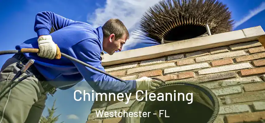 Chimney Cleaning Westchester - FL