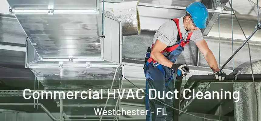 Commercial HVAC Duct Cleaning Westchester - FL