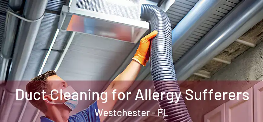 Duct Cleaning for Allergy Sufferers Westchester - FL