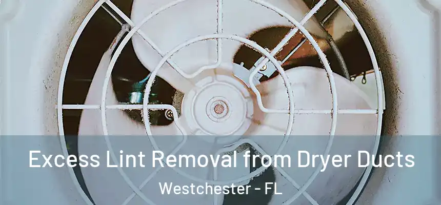 Excess Lint Removal from Dryer Ducts Westchester - FL