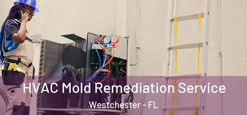 HVAC Mold Remediation Service Westchester - FL