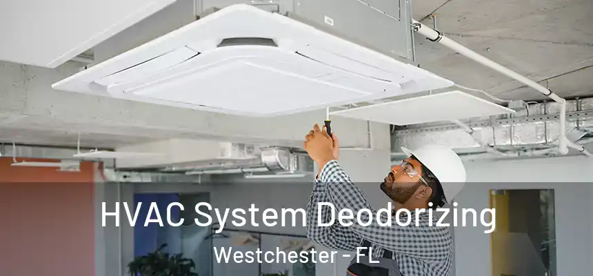 HVAC System Deodorizing Westchester - FL