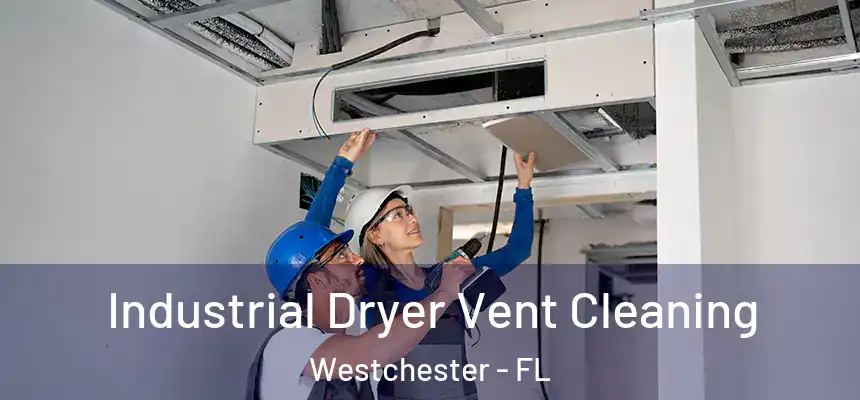 Industrial Dryer Vent Cleaning Westchester - FL