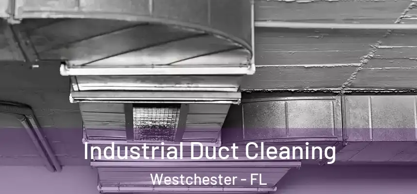 Industrial Duct Cleaning Westchester - FL