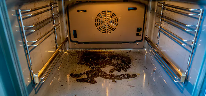 Our Dryer Vent Mold Cleaning Services in Westchester, FL