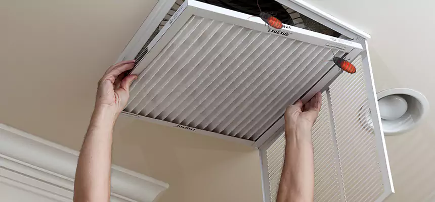 Our Insect Removal from Air Ducts Services in Westchester, FL