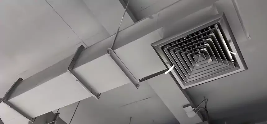 Our Pest Removal From Ducts Services in Westchester, FL