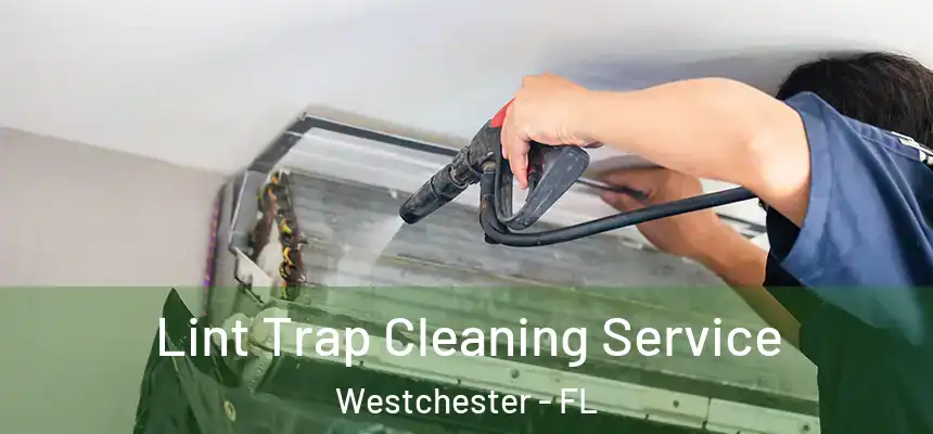 Lint Trap Cleaning Service Westchester - FL