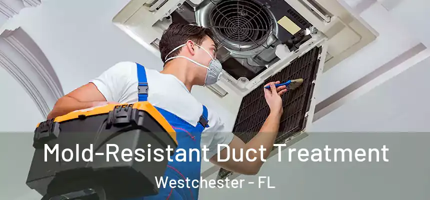 Mold-Resistant Duct Treatment Westchester - FL