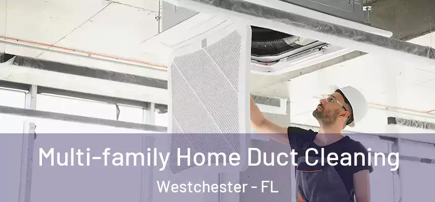 Multi-family Home Duct Cleaning Westchester - FL
