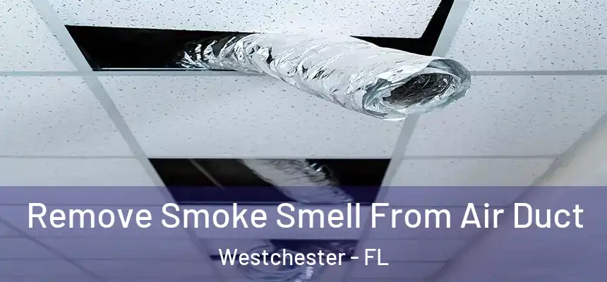 Remove Smoke Smell From Air Duct Westchester - FL