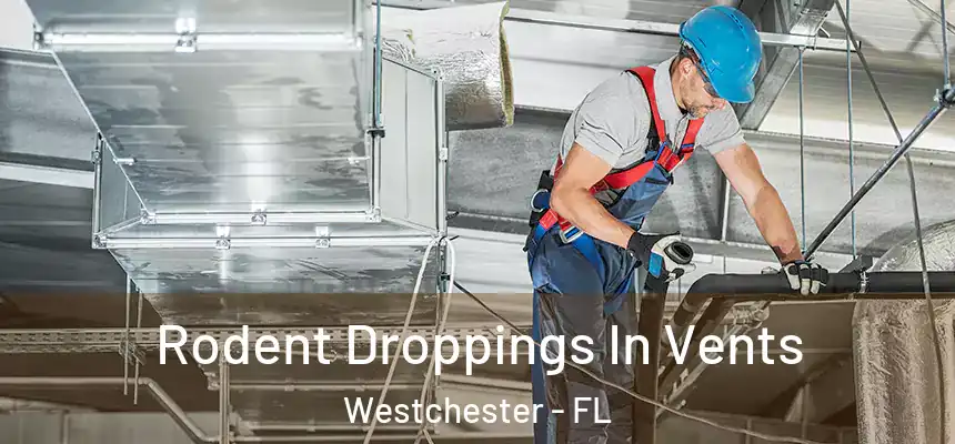 Rodent Droppings In Vents Westchester - FL