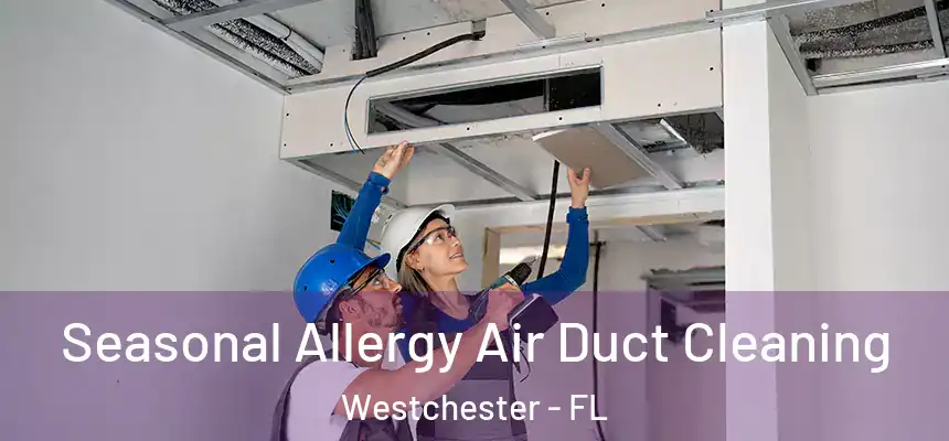 Seasonal Allergy Air Duct Cleaning Westchester - FL