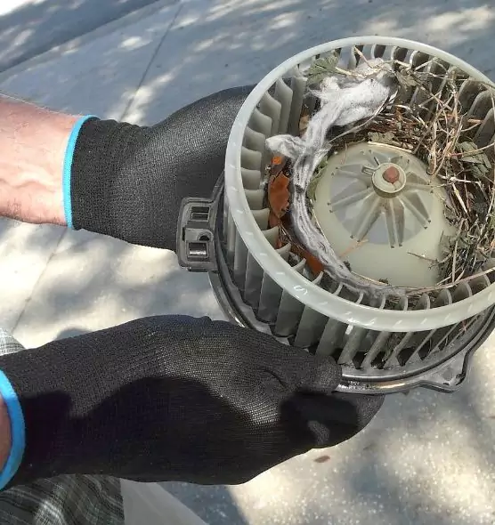 About Air Duct Mice Removal in Westchester, FL