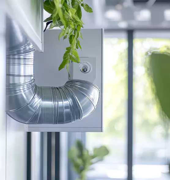 Professional Eco-Safe Dryer Vent Cleaning in Westchester, FL