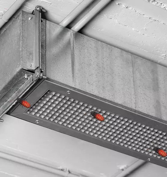 Affordable Insect Removal from Air Ducts in Westchester, FL