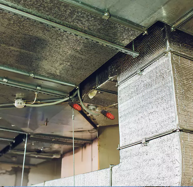 Why Homeowners & Businesses Trust Us in Westchester, FL?