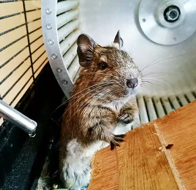 Why Homeowners & Businesses Trust Us Westchester, FL