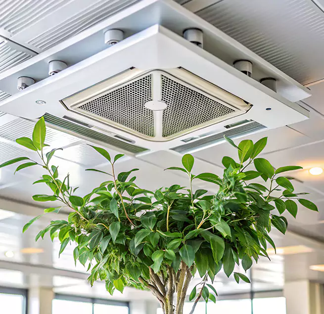 Why Homeowners & Businesses Trust Us in Westchester, FL