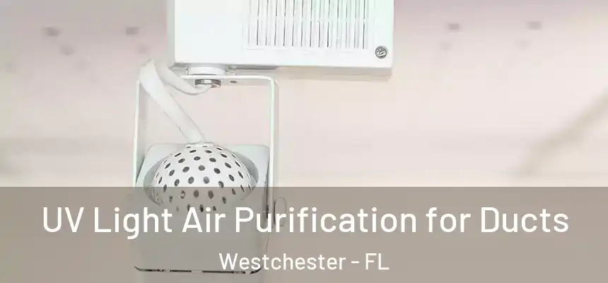 UV Light Air Purification for Ducts Westchester - FL