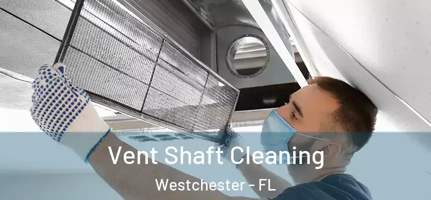 Vent Shaft Cleaning Westchester - FL
