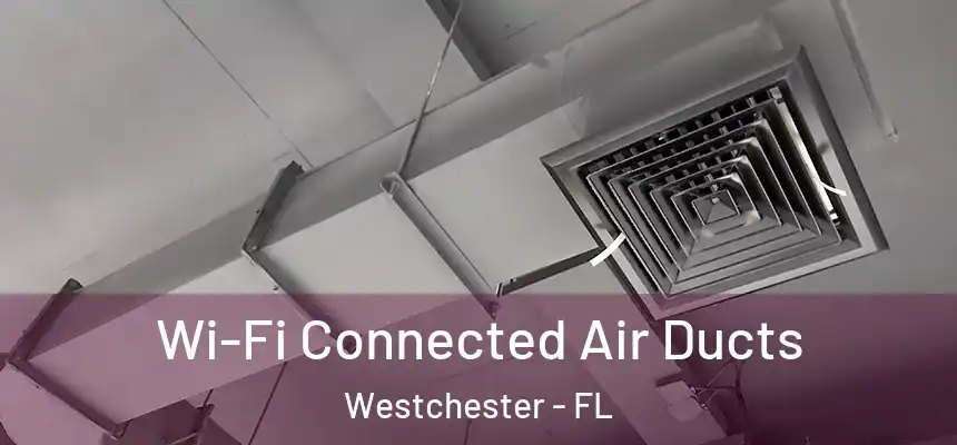 Wi-Fi Connected Air Ducts Westchester - FL